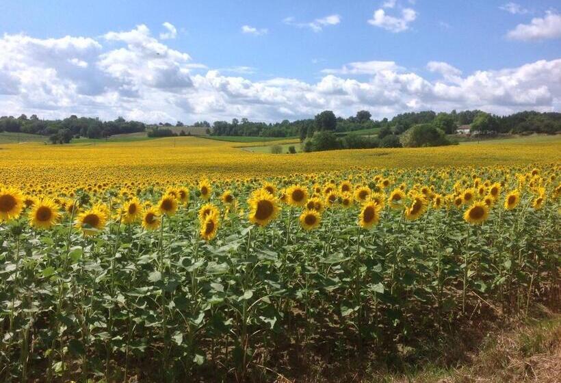 Bed and Breakfast Labarthe