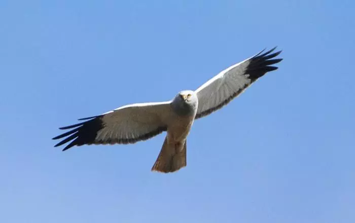 ベッドアンドブレックファースト Labarthe