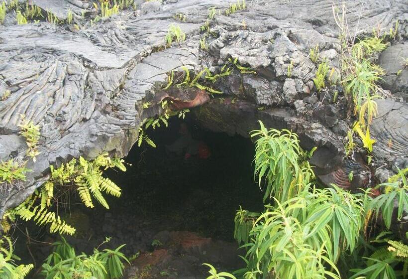 تختخواب و صبحانه Le Rubinjo 2