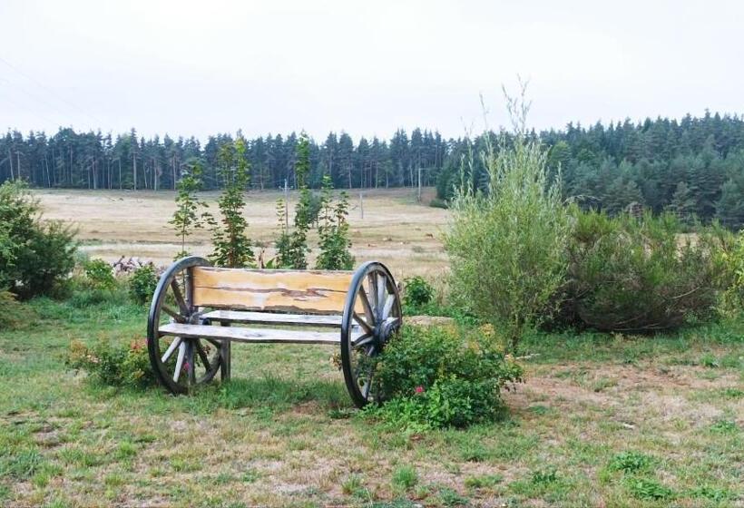 Bed and Breakfast Manoir Du Grail