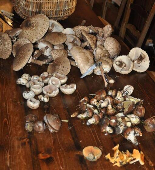 Bed and Breakfast Manoir Du Grail