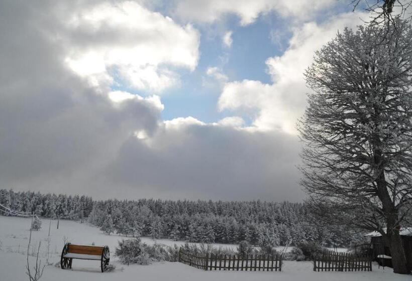 Bed and Breakfast Manoir Du Grail