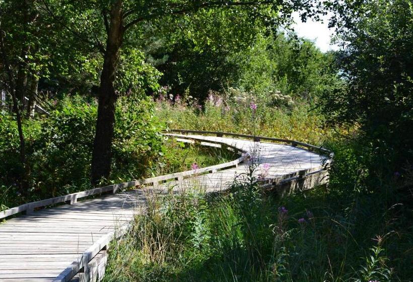 Bed and Breakfast Manoir Du Grail