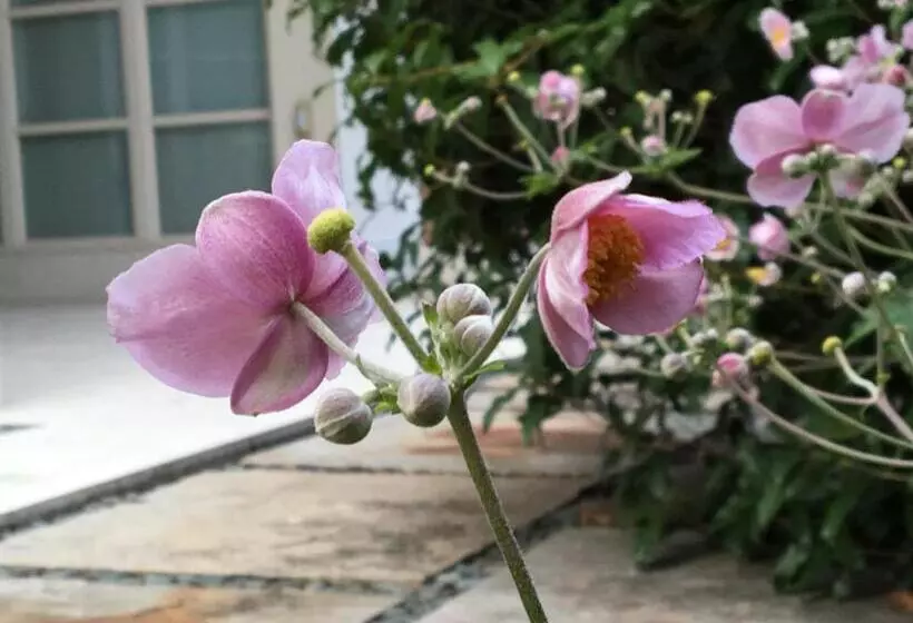 Aamiaismajoitus (B&B) Rosa Del Grappa