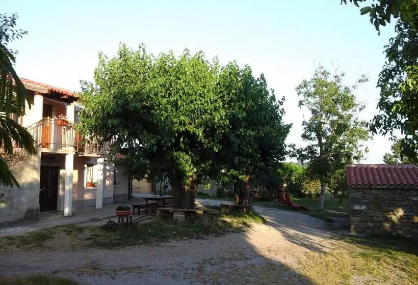 هتل Kmetija Medljan