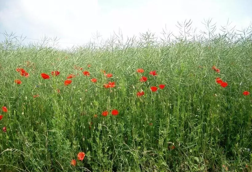 Majatalo Landhaus Bad Bertrich