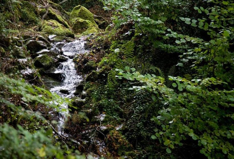 펜션 Landhaus Bad Bertrich