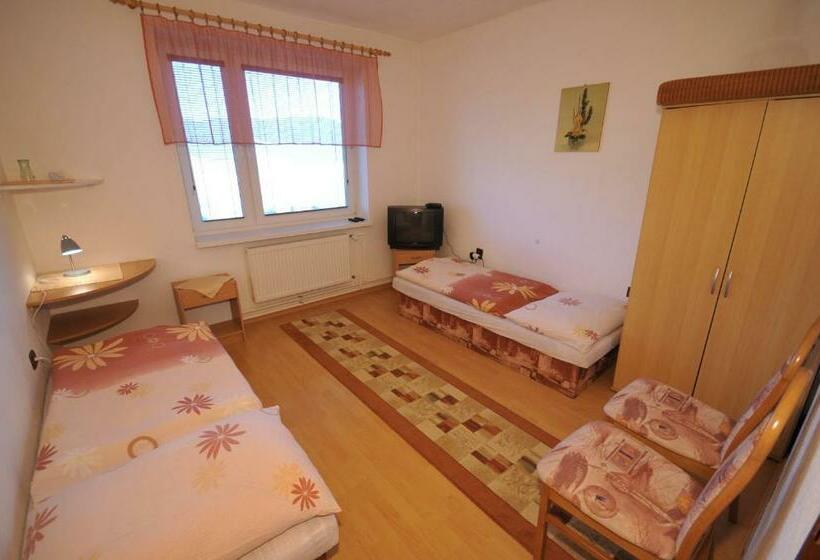 ペンション Penzion Dreveník