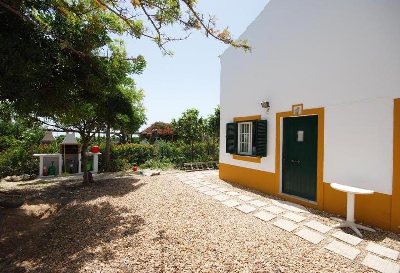 بنسيون Quinta Rosa Branca