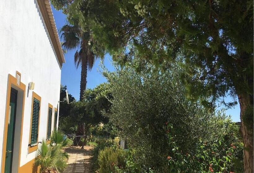 بنسيون Quinta Rosa Branca