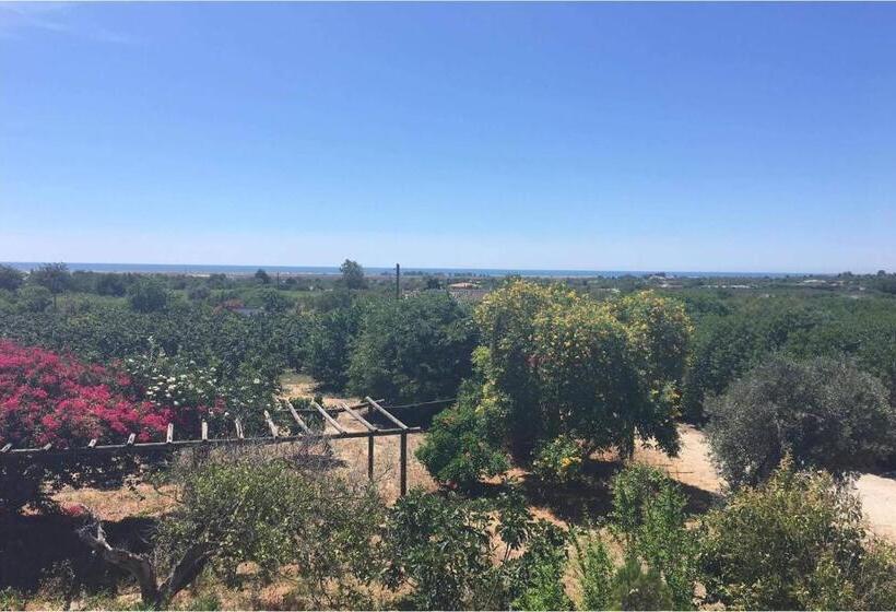 بنسيون Quinta Rosa Branca