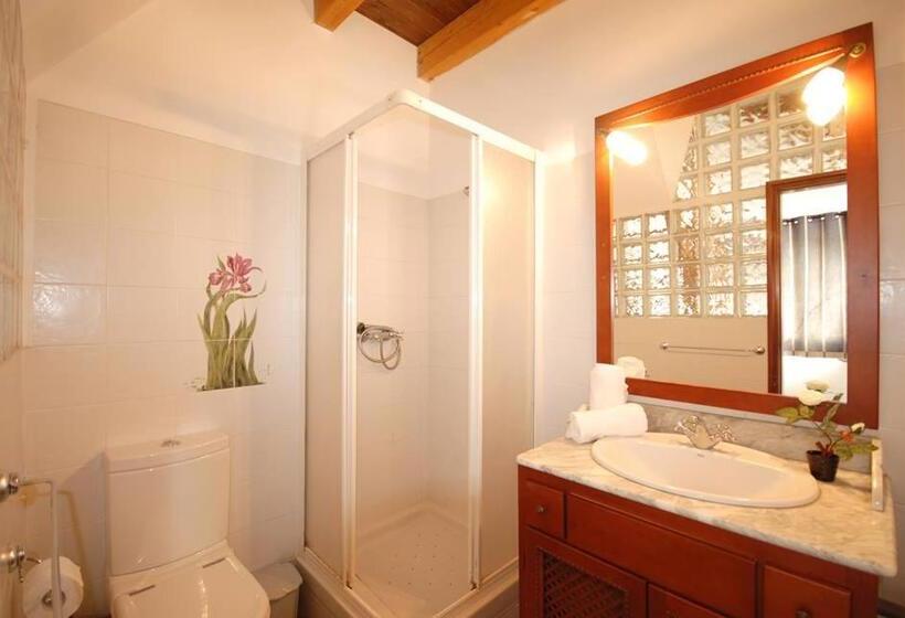 بنسيون Quinta Rosa Branca