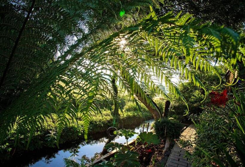 Waterfield House B&b