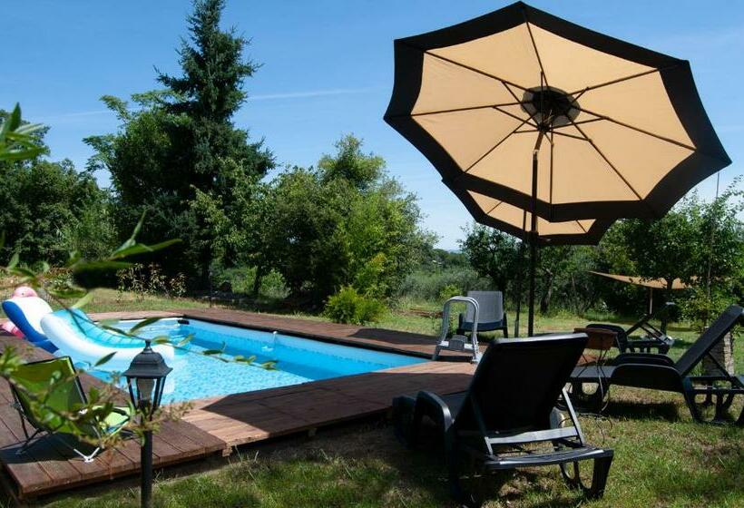 Bed and Breakfast Amarcord