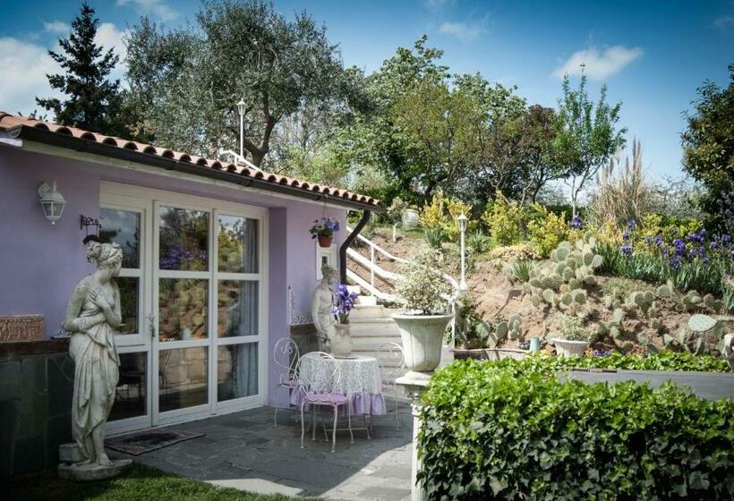 Bed and Breakfast Amarcord