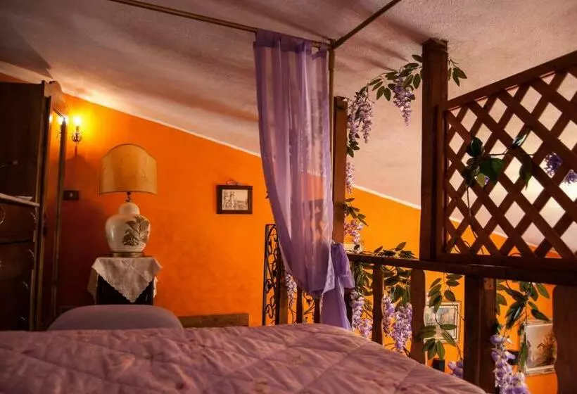 تختخواب و صبحانه Amarcord
