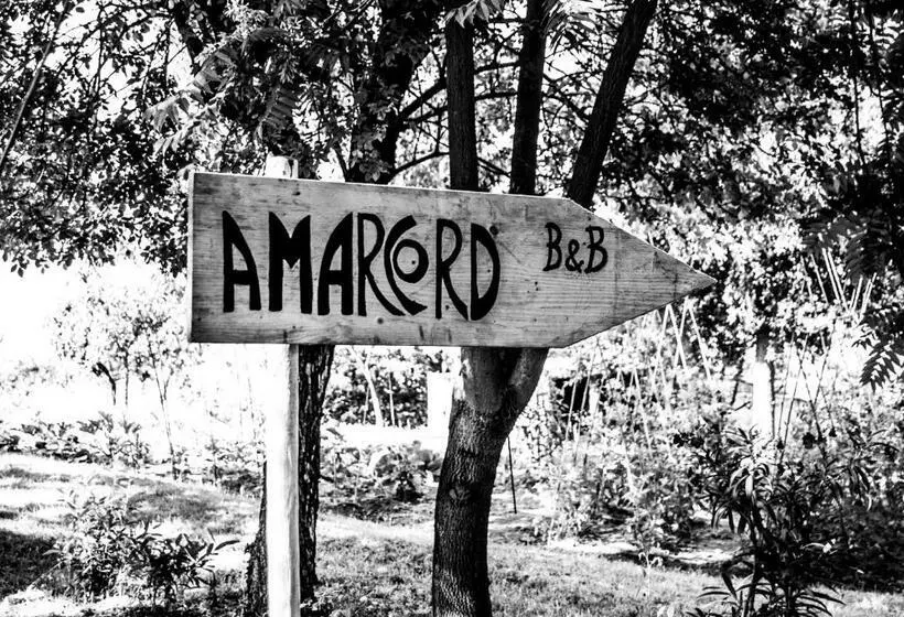 تختخواب و صبحانه Amarcord