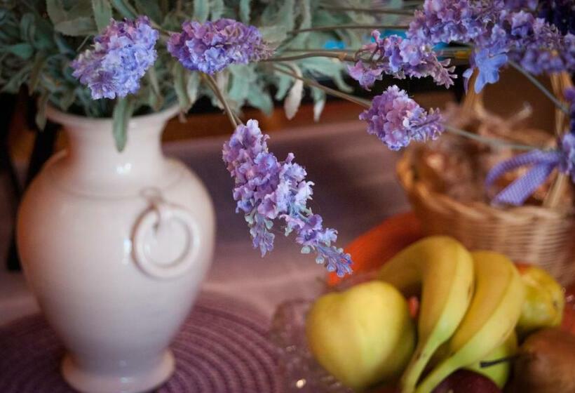 Bed and Breakfast Amarcord