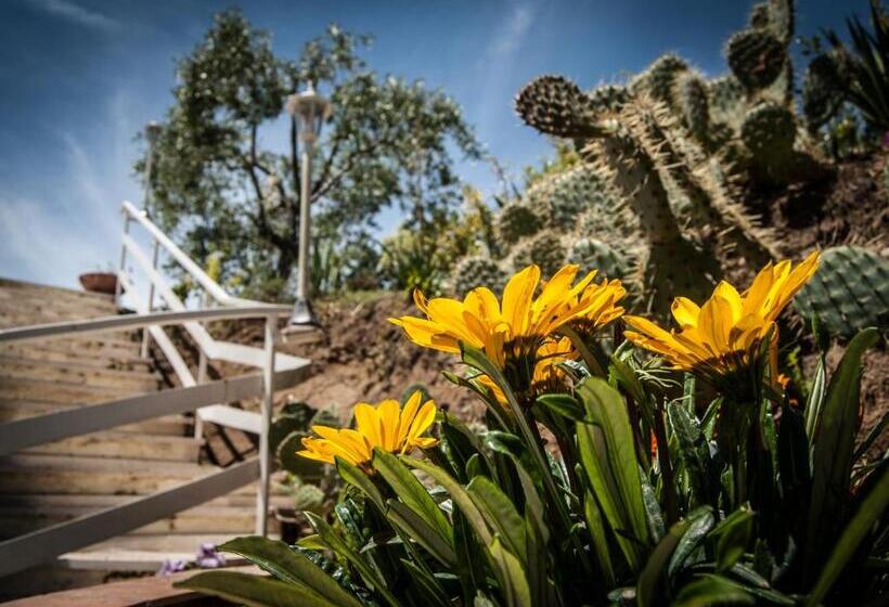 Bed and Breakfast Amarcord