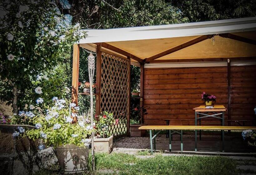 Bed and Breakfast Amarcord