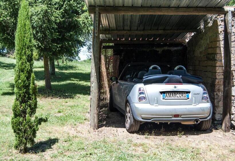 Bed and Breakfast Amarcord