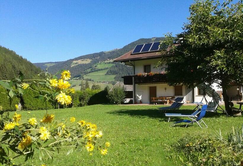 مبيت وإفطار Ferienhaus Grünfelder