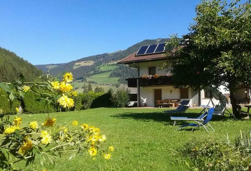 Aamiaismajoitus (B&B) Ferienhaus Grünfelder