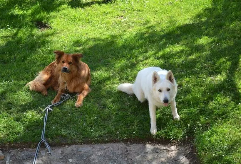 Aamiaismajoitus (B&B) La Follye Mancey