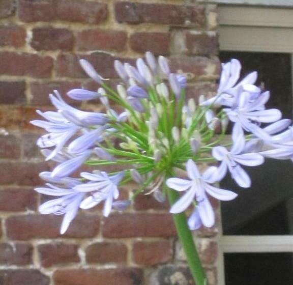 צימר Lisa S Weelde