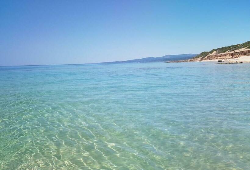 مبيت وإفطار Naracauli