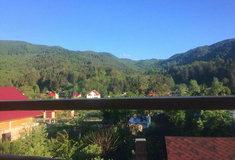 فندق على الطريق Casa De Vacanta Neagu