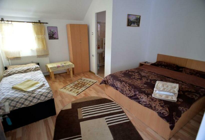 فندق على الطريق Casa De Vacanta Neagu