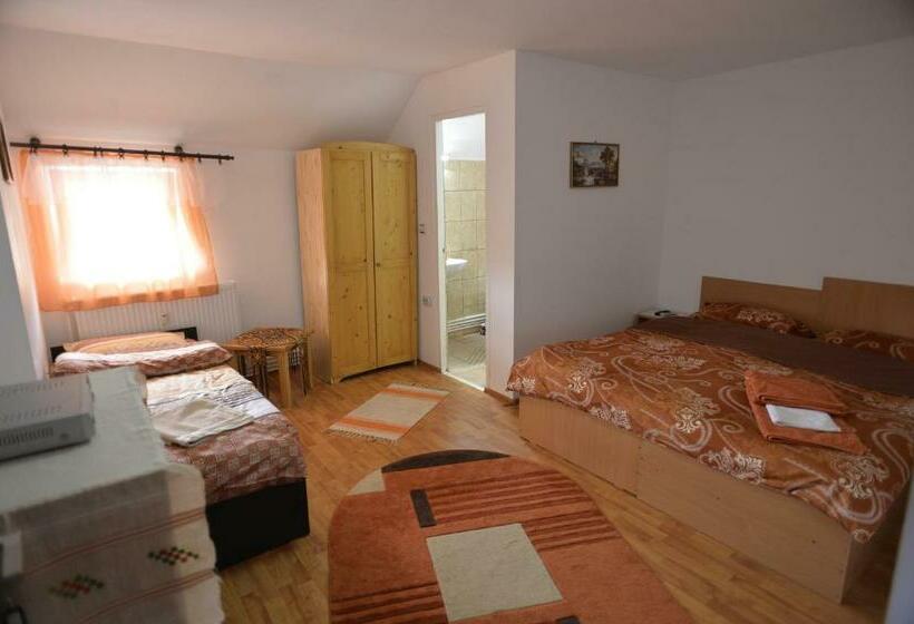 فندق على الطريق Casa De Vacanta Neagu