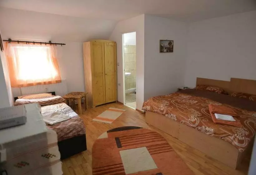 Motelli Casa De Vacanta Neagu