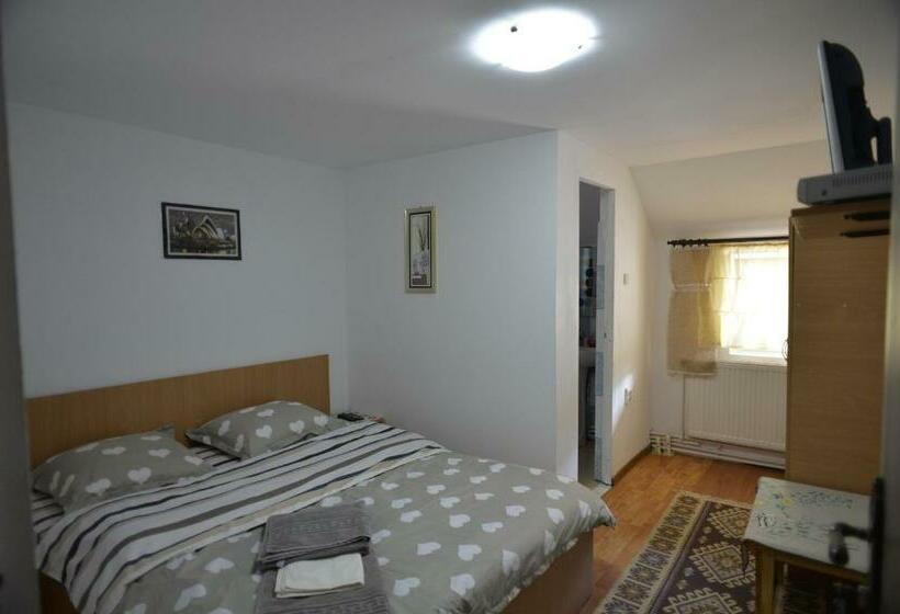 فندق على الطريق Casa De Vacanta Neagu