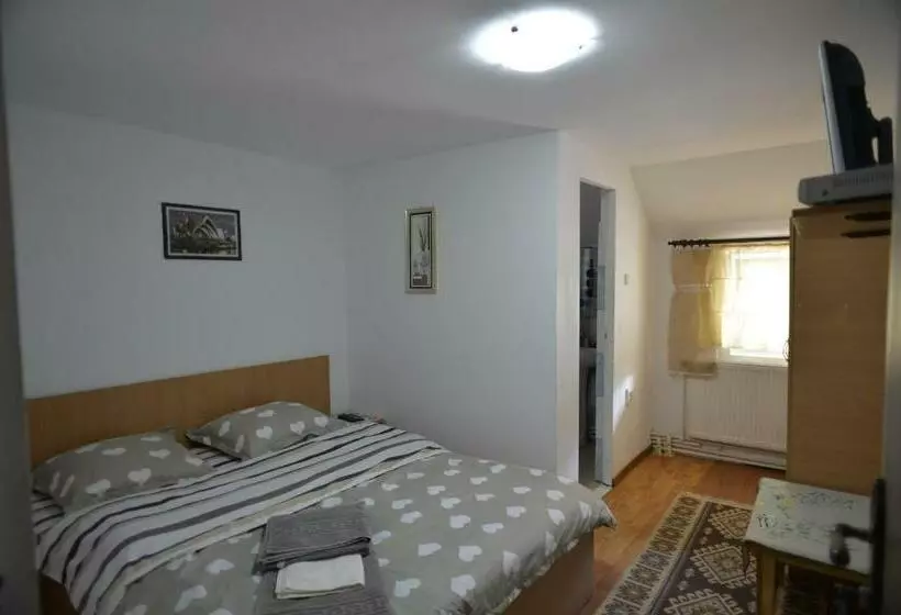 Motelli Casa De Vacanta Neagu
