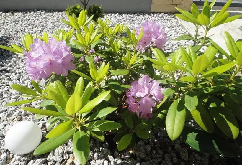 ペンション Gästehaus Am Sonnenberg