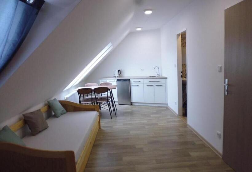 ペンション Rodinný Penzion Kyjov