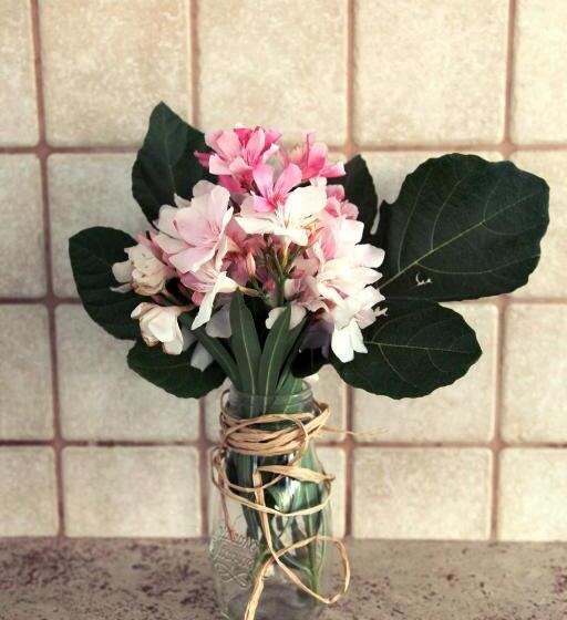 بنسيون Villa Giulia & Gaia   Guest House