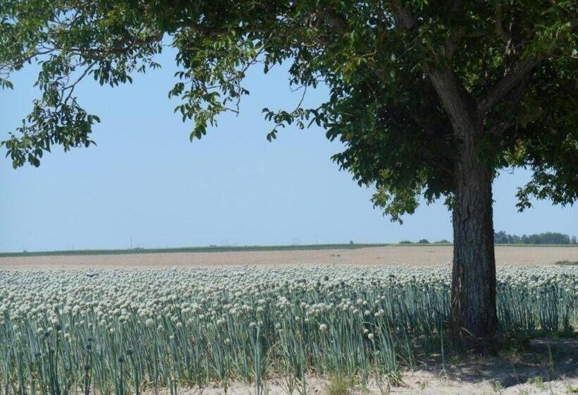 مبيت وإفطار Domaine De Meigne