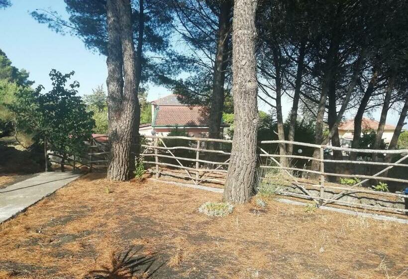 민박 Etna Country Home