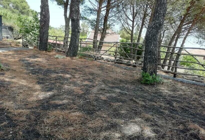 민박 Etna Country Home