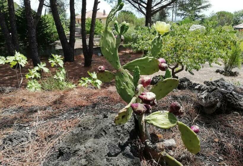 민박 Etna Country Home