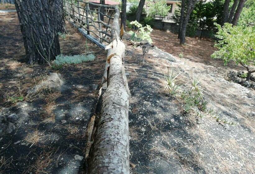 민박 Etna Country Home