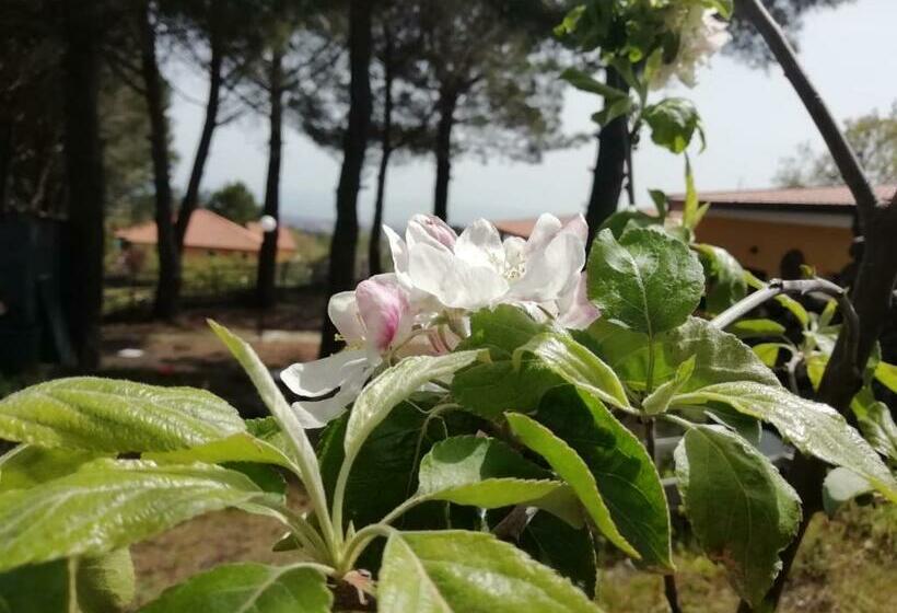 민박 Etna Country Home