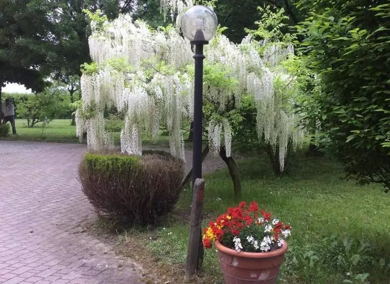 ベッドアンドブレックファースト La Fenice