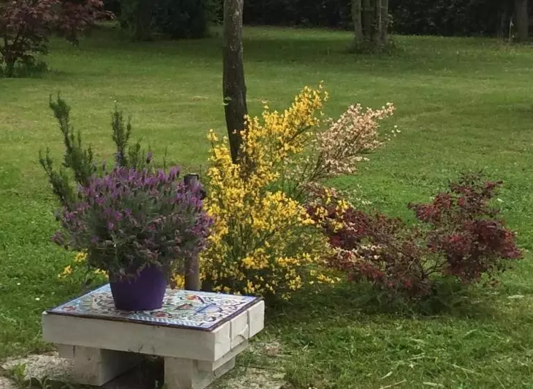 ベッドアンドブレックファースト La Fenice