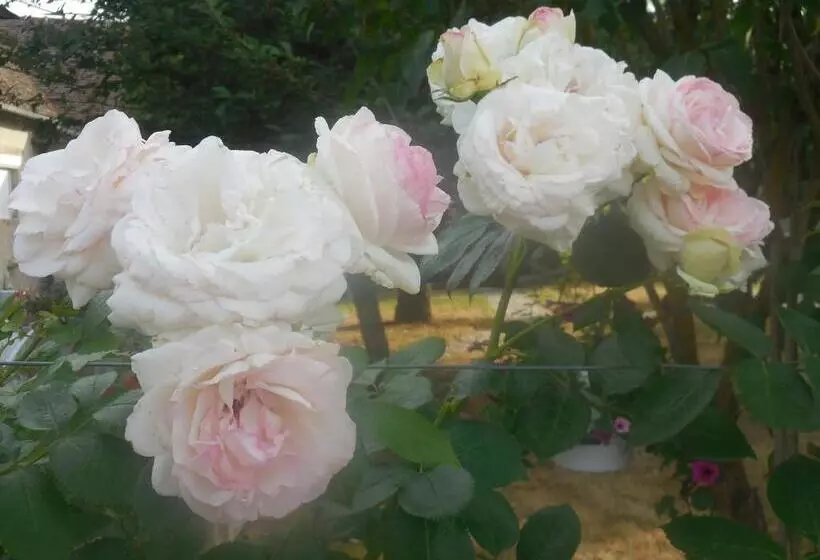 Aamiaismajoitus (B&B) Les Rouches