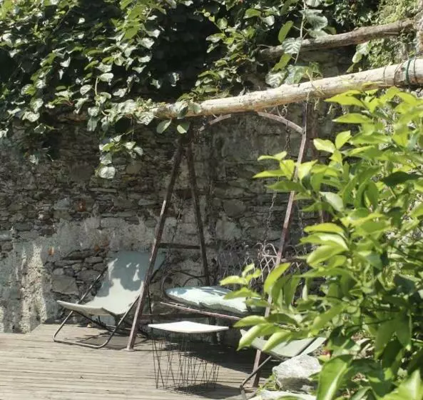 ペンション Camera Molly