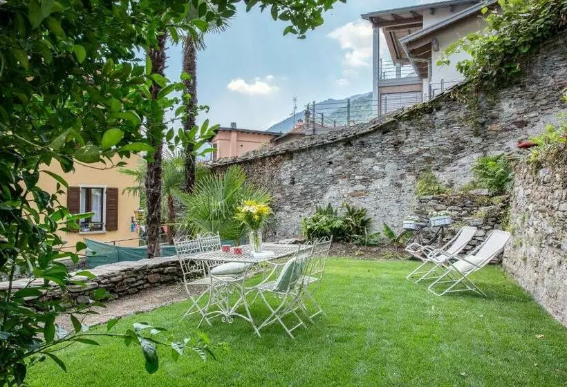 ペンション Camera Molly